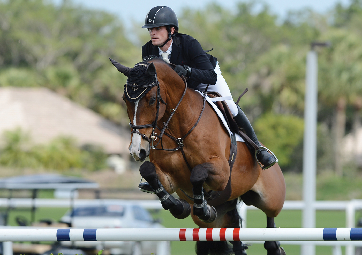 Palm Beach County, Florida, is home to numerous equine events, including the FTI Consulting Winter Equestrian Festival at the Palm Beach International Equestrian Center. Image from Larry Marano/Getty Images