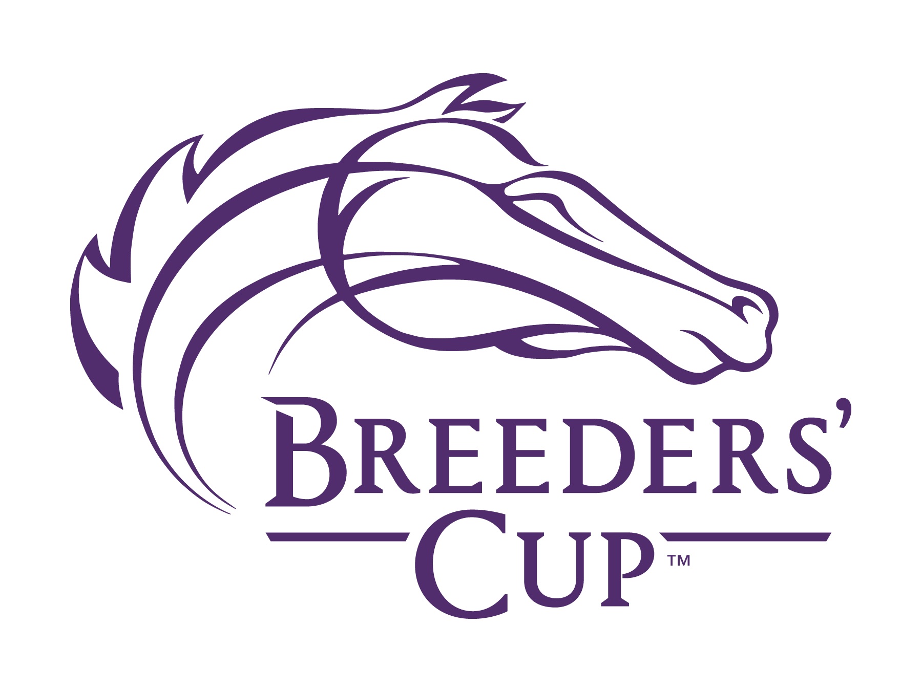 Breeders_Cup_Identity_PURP_269
