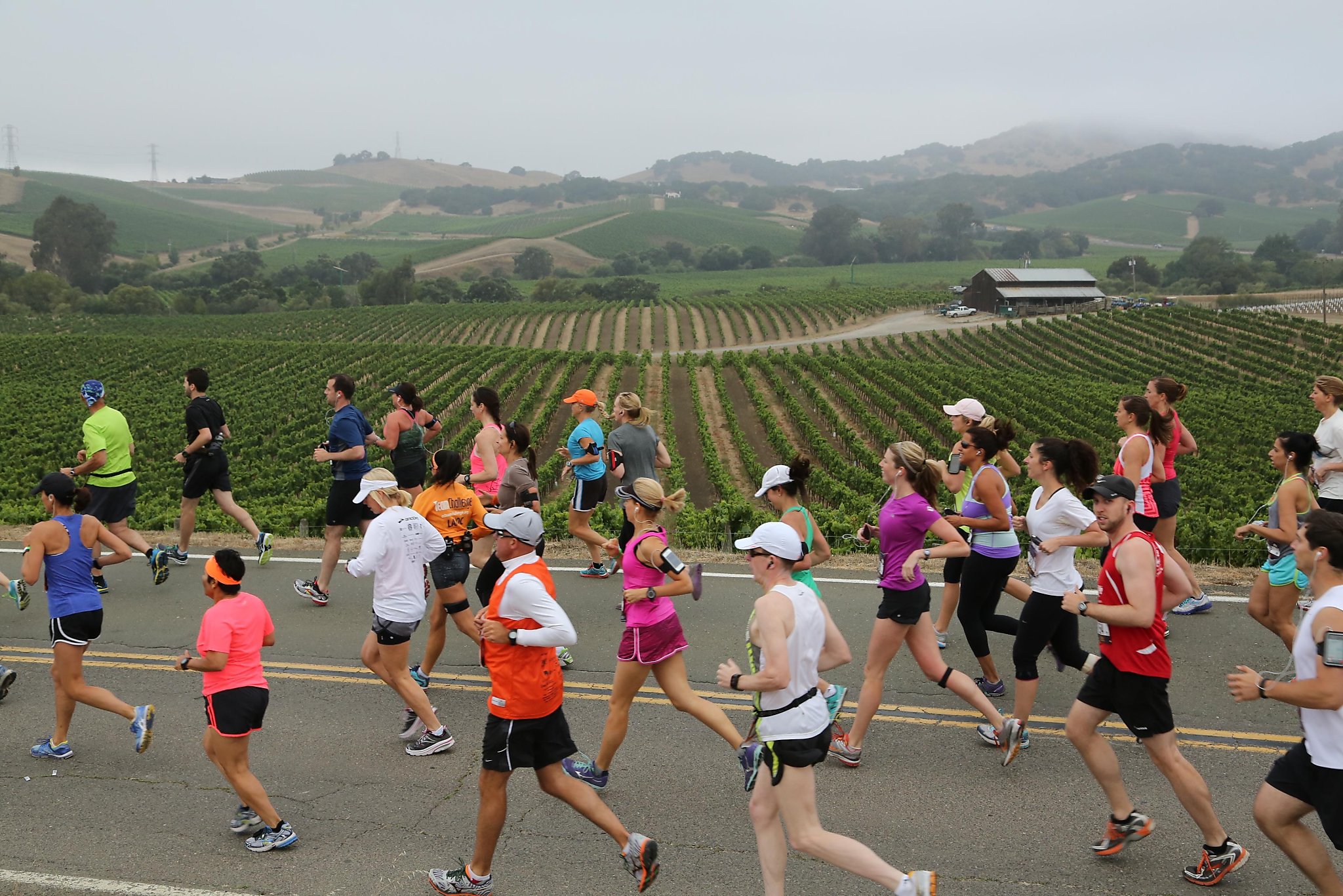 Napa to Sonoma Wine Country Half Marathon