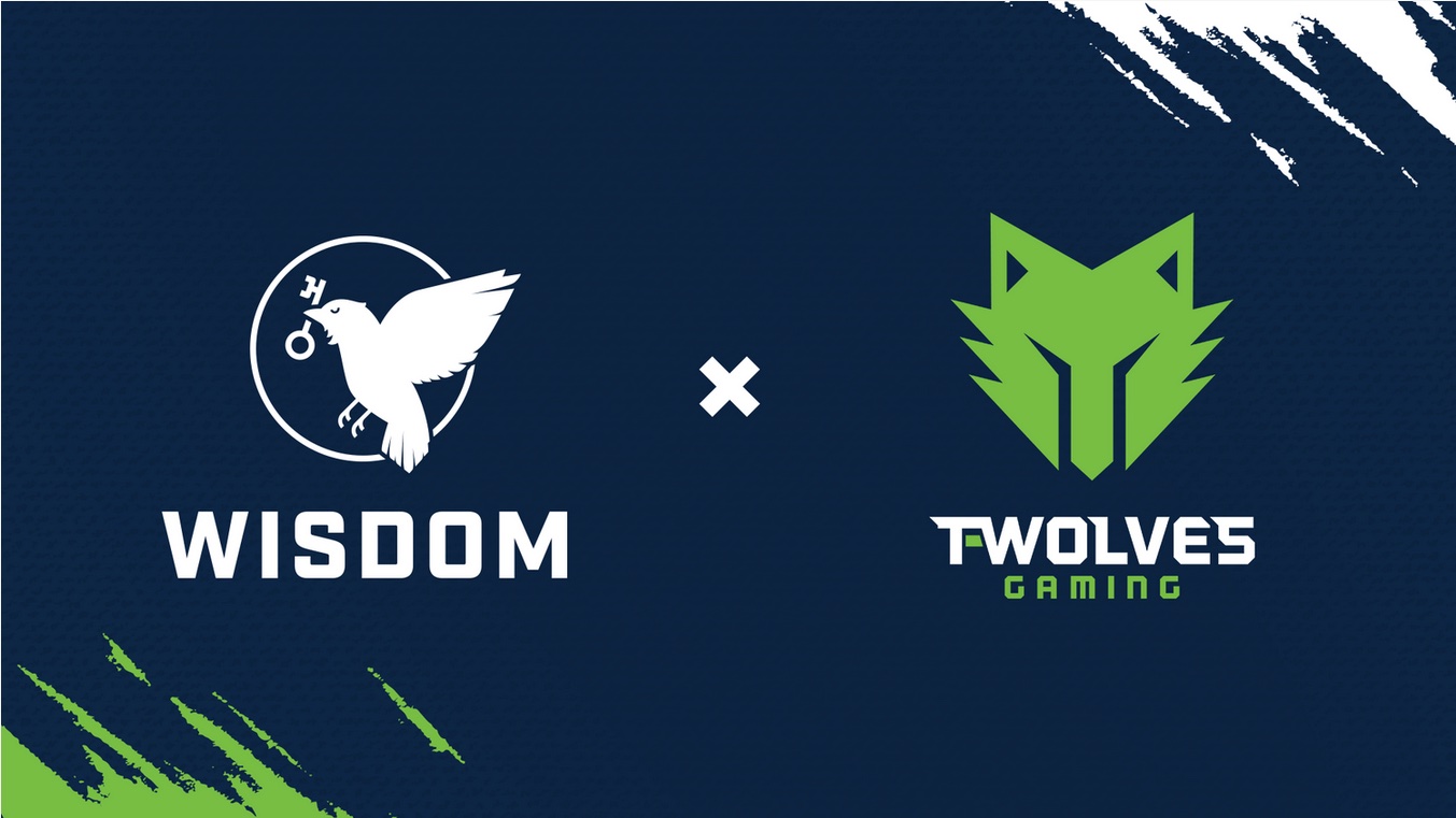 Wisdom Gaming T Wolves