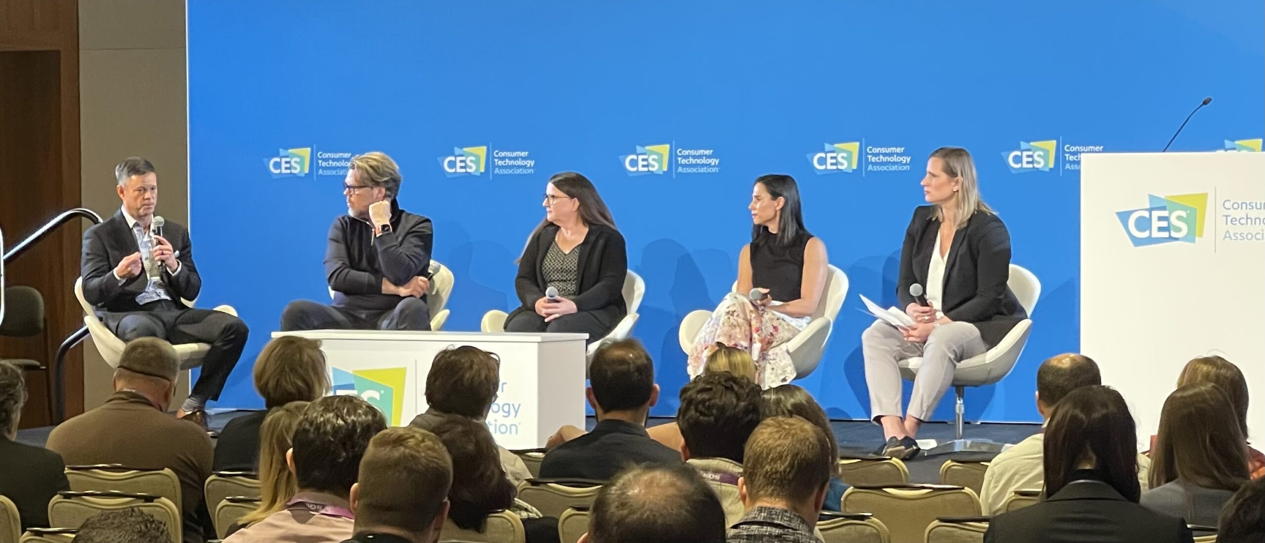 CES Panel