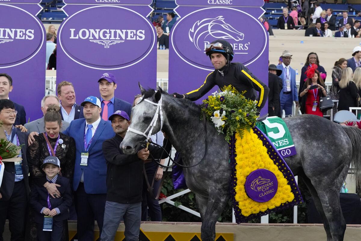 When Is Breeders Cup 2025