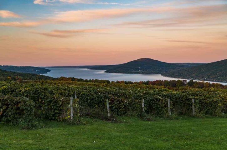 New York State: A Regional Guide